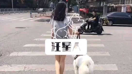 喵喵要送走了,以后就和少爷相依为命了~
